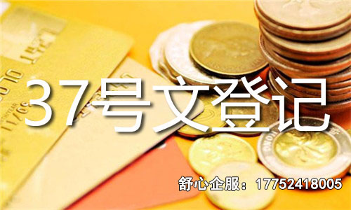 37號文登記全流程
