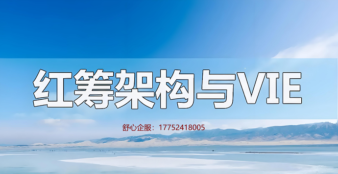 VIE紅籌合并架構